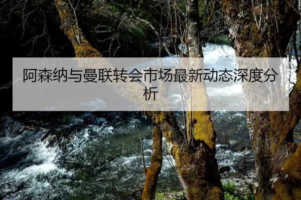 阿森纳与曼联转会市场最新动态深度分析